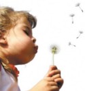 alerte-aux-pesticides