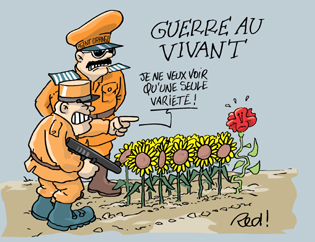 C32dessin4